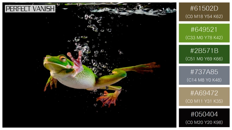 カエルの無料配色パターン 6 フリー whitelipped frog swimming