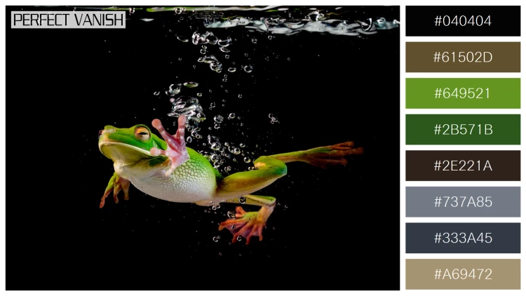 カエルの無料配色パターン 8 フリー whitelipped frog swimming