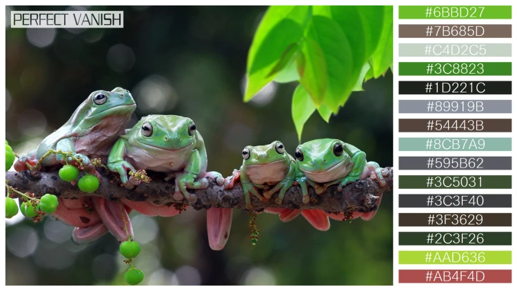 カエルの無料配色パターン 15 フリー australian frogs branch