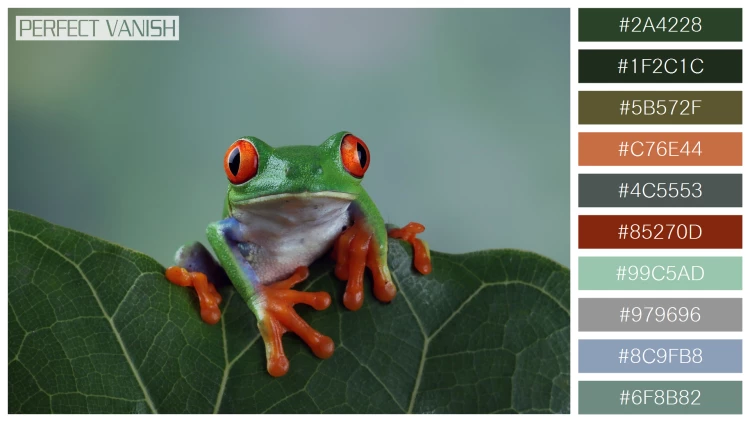 カエルの無料配色パターン 10 フリー redeyed tree frog