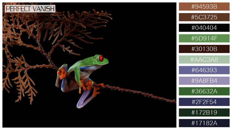 カエルの無料配色パターン 12 フリー redeyed tree frog