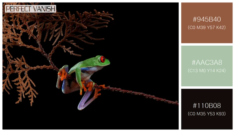 カエルの無料配色パターン 3 フリー redeyed tree frog