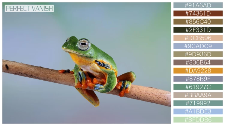 カエルの無料配色パターン 15 フリー tree frog branch