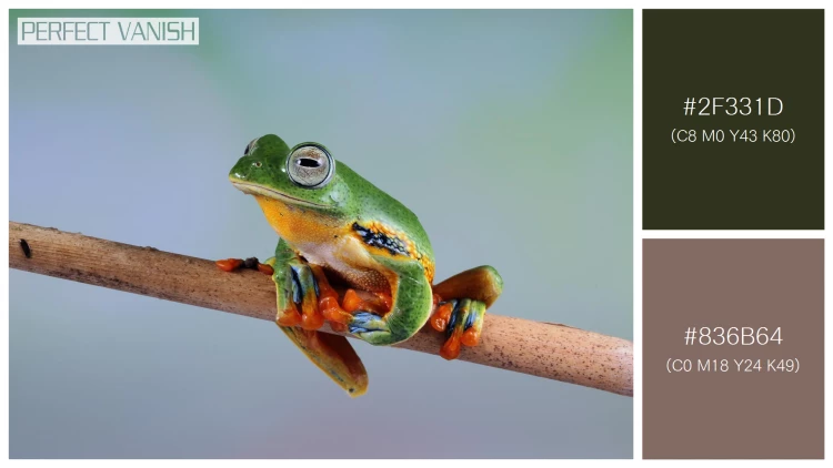 カエルの無料配色パターン 2 フリー tree frog branch