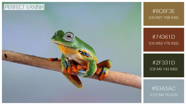 カエルの無料配色パターン 4 フリー tree frog branch