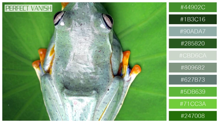 カエルの無料配色パターン 10 フリー tree frog branch