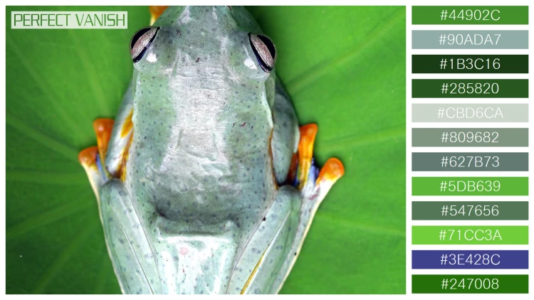 カエルの無料配色パターン 12 フリー tree frog branch
