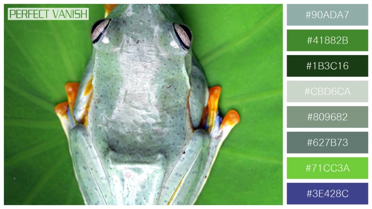 カエルの無料配色パターン 8 フリー tree frog branch