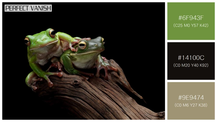 カエルの無料配色パターン 3 フリー whitelipped tree frog