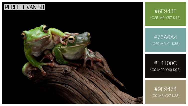 カエルの無料配色パターン 4 フリー whitelipped tree frog
