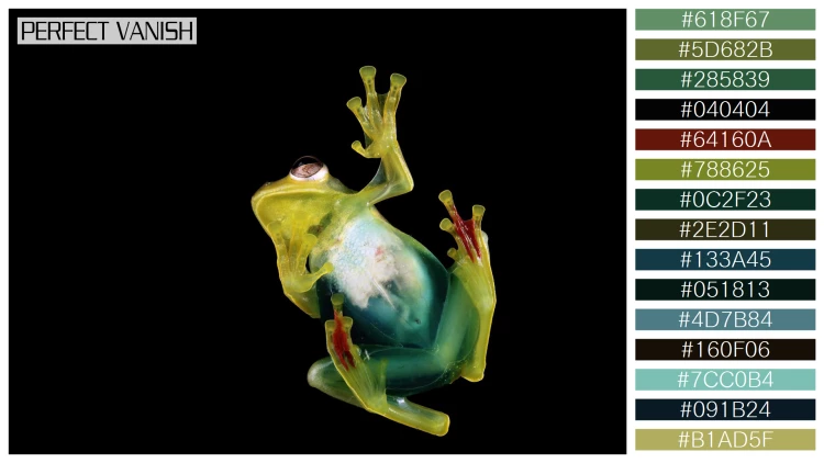 カエルの無料配色パターン 15 フリー jade tree frog