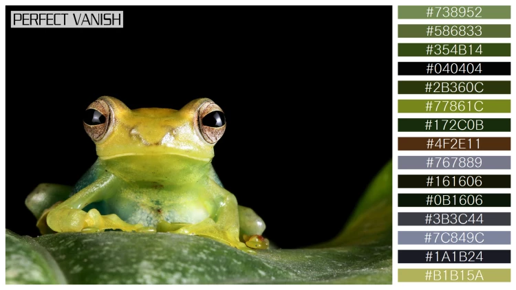 カエルの無料配色パターン 15 フリー jade tree frog