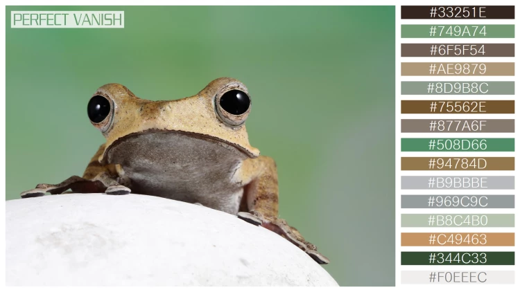 カエルの無料配色パターン 15 フリー borneo eared frog