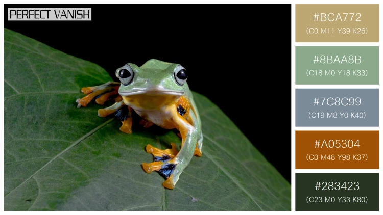 カエルの無料配色パターン 5 フリー javan tree frog