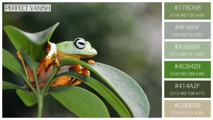 カエルの無料配色パターン 6 フリー javan tree frog