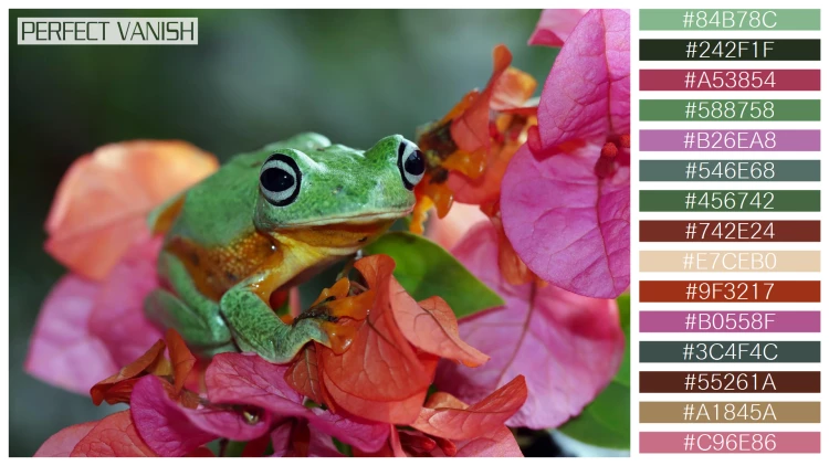 カエルの無料配色パターン 15 フリー javan tree frog