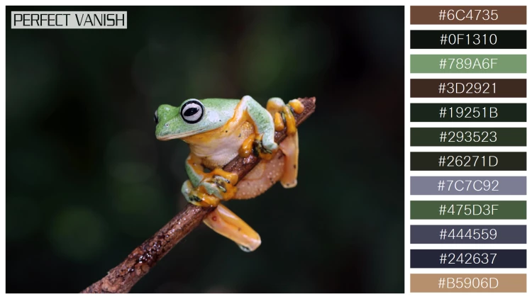 カエルの無料配色パターン 12 フリー javan tree frog