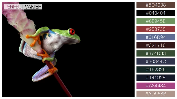 カエルの無料配色パターン 12 フリー redeyed tree frog