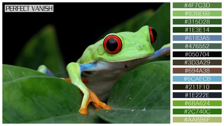 カエルの無料配色パターン 15 フリー redeyed tree frog