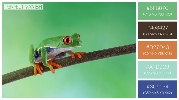 カエルの無料配色パターン 5 フリー redeyed tree frog