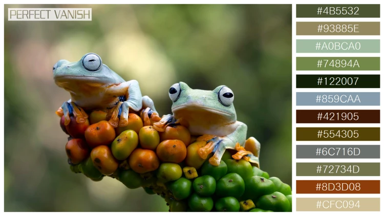 カエルの無料配色パターン 12 フリー javan tree frog