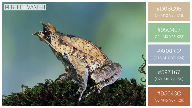 カエルの無料配色パターン 5 フリー megophrys nasuta toad