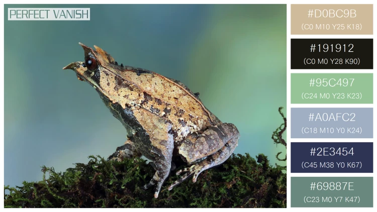 カエルの無料配色パターン 6 フリー megophrys nasuta toad