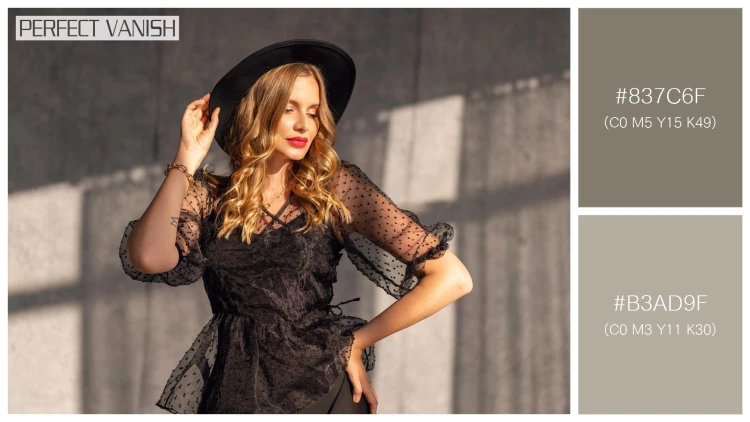 ファッショナブルな女性モデルの無料配色パターン 2色 フリー indoor luxuey fashion