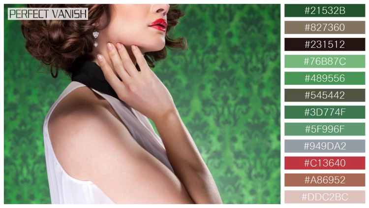 ファッショナブルな女性モデルの無料配色パターン 12色 フリー sensual woman retro
