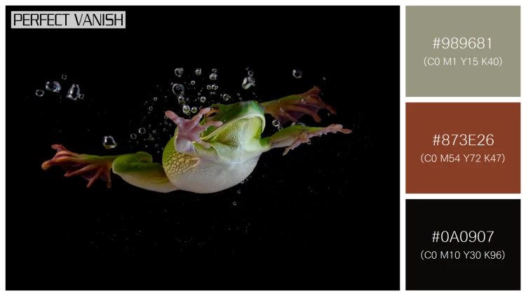 カエルの無料配色パターン 3 フリー whitelipped tree frog