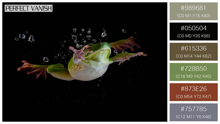 カエルの無料配色パターン 6 フリー whitelipped tree frog