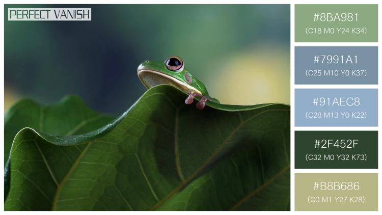 カエルの無料配色パターン 5 フリー whitelipped tree frog