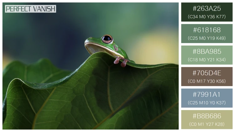 カエルの無料配色パターン 6 フリー whitelipped tree frog