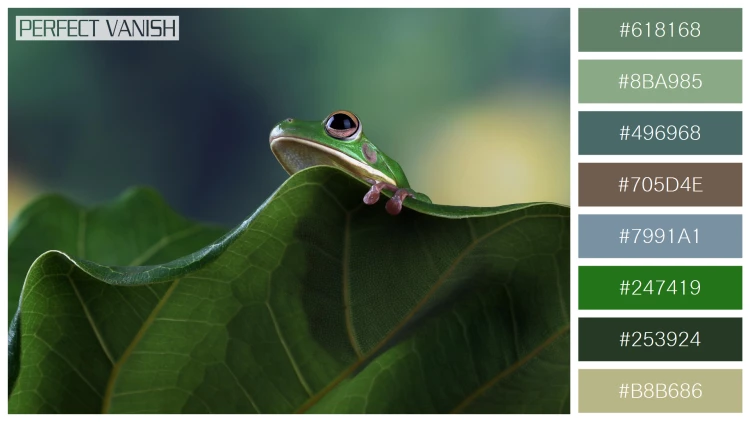 カエルの無料配色パターン 8 フリー whitelipped tree frog