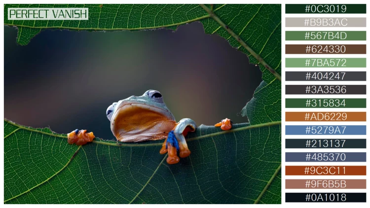 カエルの無料配色パターン 15 フリー flying frog closeup