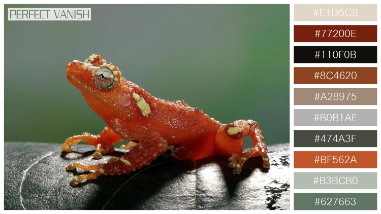 カエルの無料配色パターン 10 フリー pearly tree frog