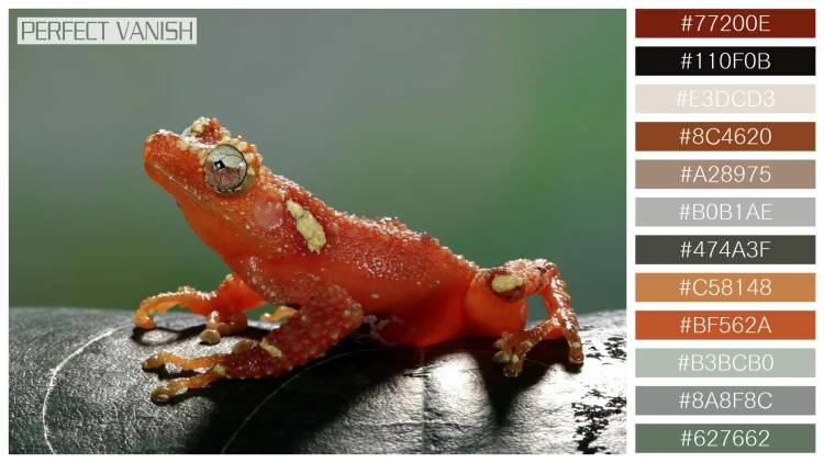 カエルの無料配色パターン 12 フリー pearly tree frog