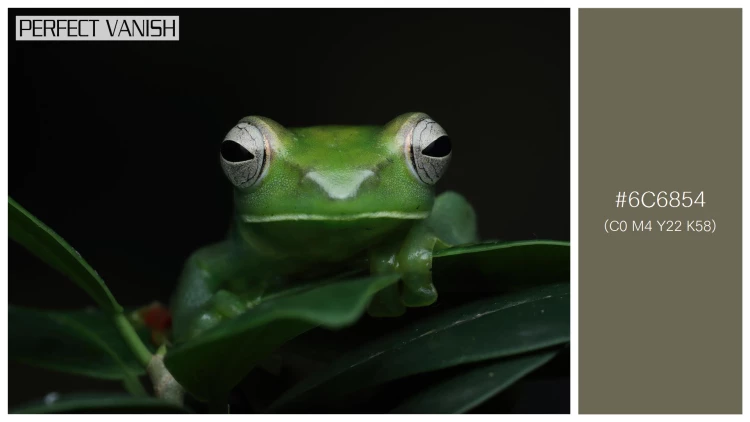 カエルの無料配色パターン 1 フリー jade tree frog