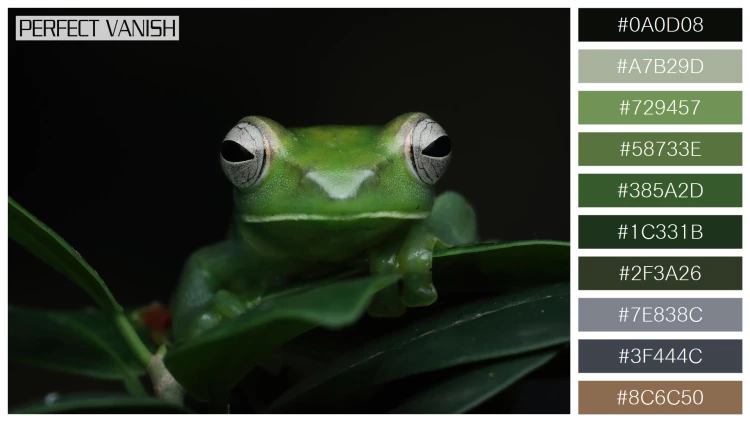 カエルの無料配色パターン 10 フリー jade tree frog