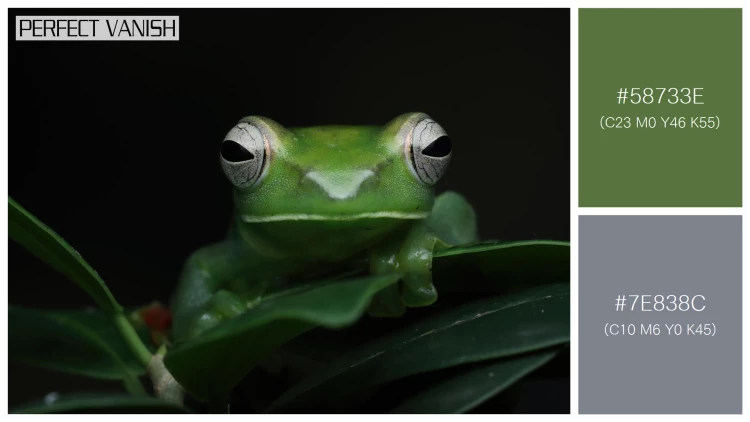 カエルの無料配色パターン 2 フリー jade tree frog