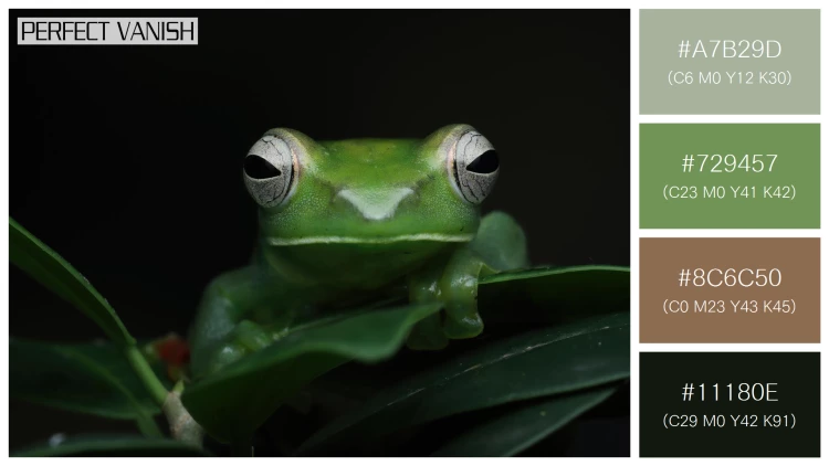 カエルの無料配色パターン 4 フリー jade tree frog