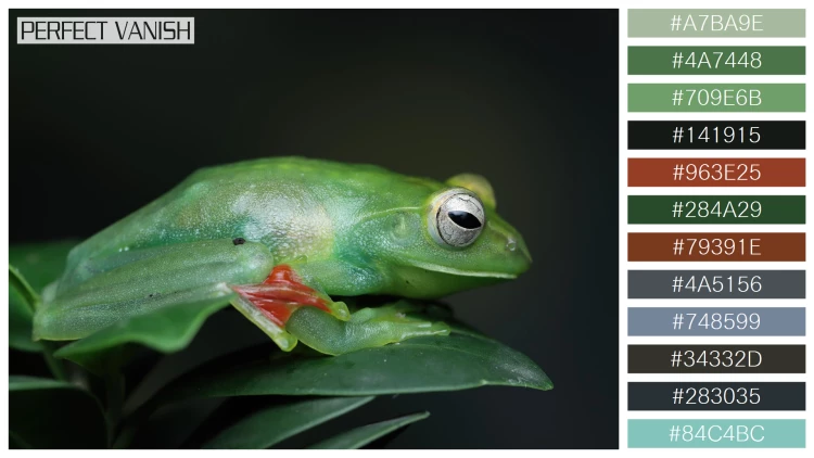 カエルの無料配色パターン 12 フリー jade tree frog