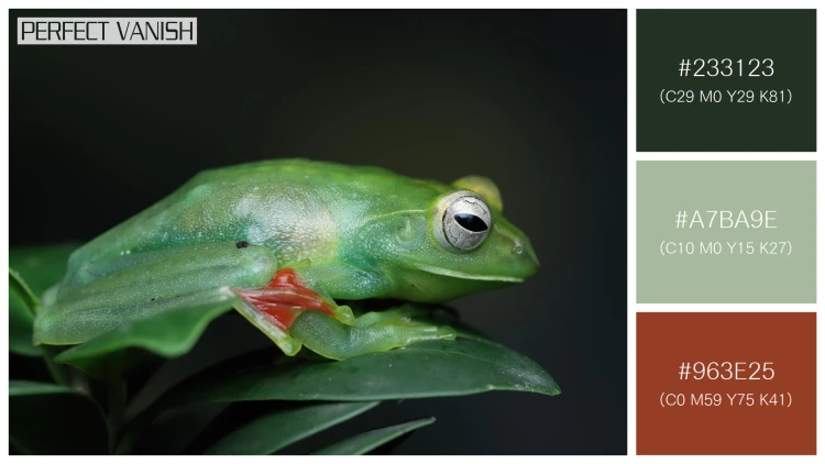 カエルの無料配色パターン 3 フリー jade tree frog