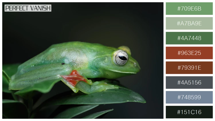 カエルの無料配色パターン 8 フリー jade tree frog