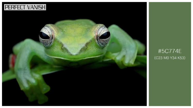 カエルの無料配色パターン 1 フリー jade tree frog