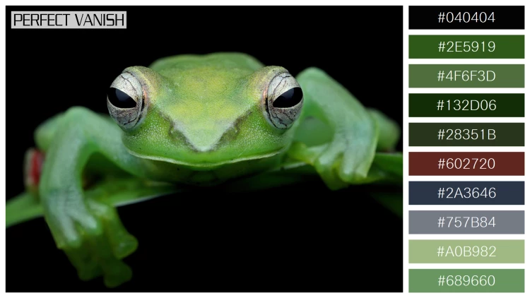 カエルの無料配色パターン 10 フリー jade tree frog