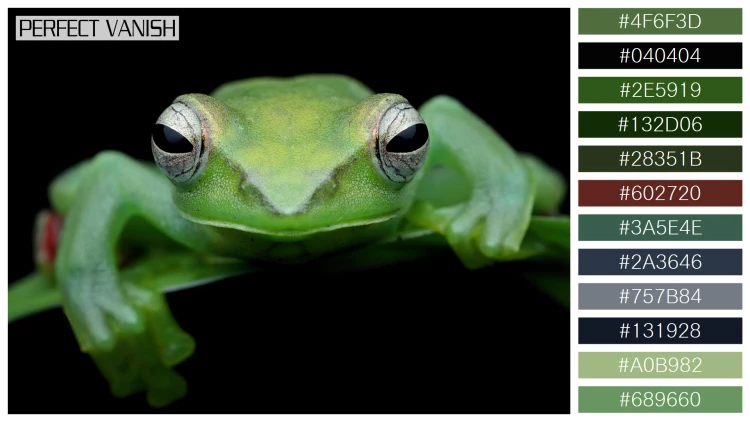 カエルの無料配色パターン 12 フリー jade tree frog