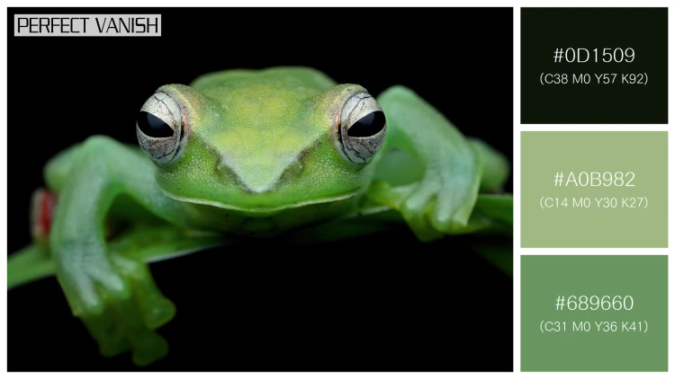 カエルの無料配色パターン 3 フリー jade tree frog