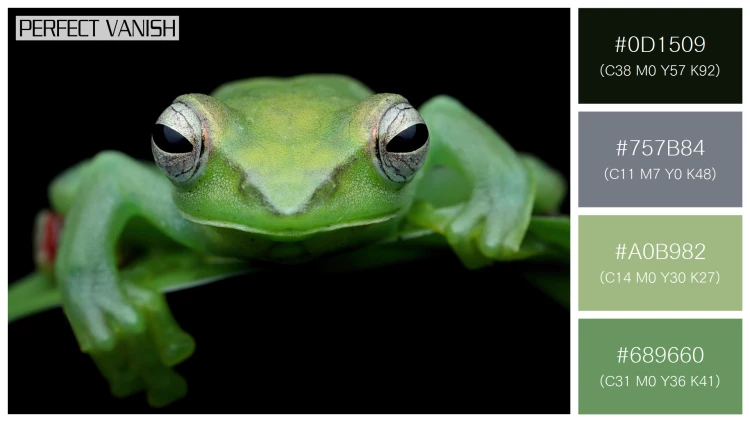カエルの無料配色パターン 4 フリー jade tree frog