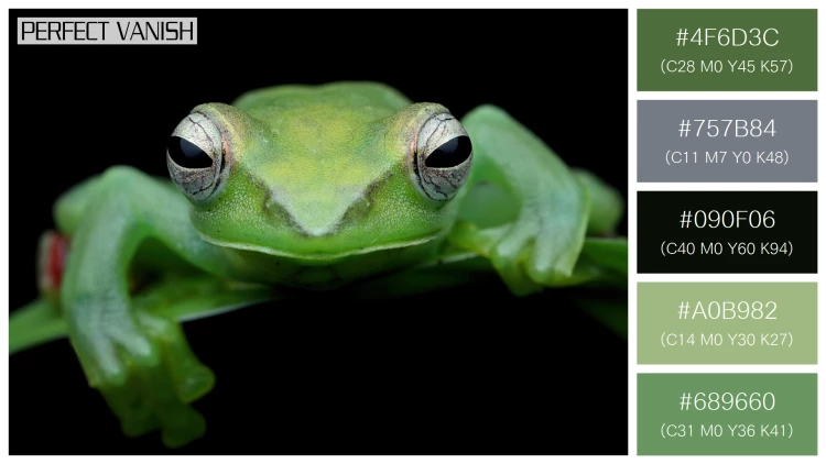 カエルの無料配色パターン 5 フリー jade tree frog